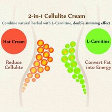 Hot Cellulite Treatment Slimming firming Cream Break Down Fat Tissue Tightens Fat Burning Best Weight Loss Dropshipping